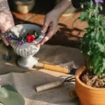 digital growth optimization tools