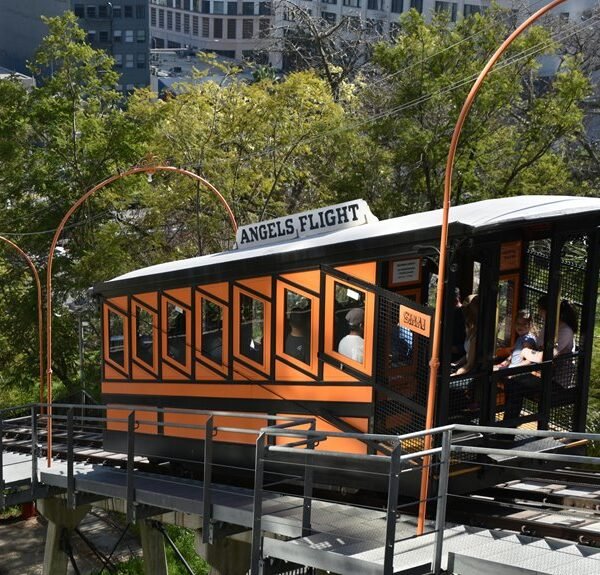 elevate your online marketing